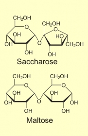 Zweifachzucker - Disaccharide